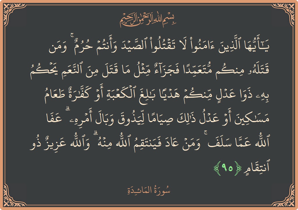 آیت 95 - سورۃ المائدہ: (يا أيها الذين آمنوا لا تقتلوا الصيد وأنتم حرم ۚ ومن قتله منكم متعمدا فجزاء مثل ما قتل من النعم...) - اردو