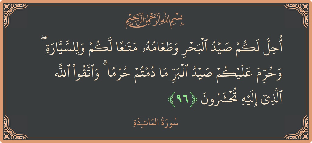 آیت 96 - سورۃ المائدہ: (أحل لكم صيد البحر وطعامه متاعا لكم وللسيارة ۖ وحرم عليكم صيد البر ما دمتم حرما ۗ واتقوا الله الذي...) - اردو