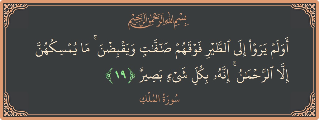 Verse 19 - Surah Al-Mulk: (أولم يروا إلى الطير فوقهم صافات ويقبضن ۚ ما يمسكهن إلا الرحمن ۚ إنه بكل شيء بصير...) - English
