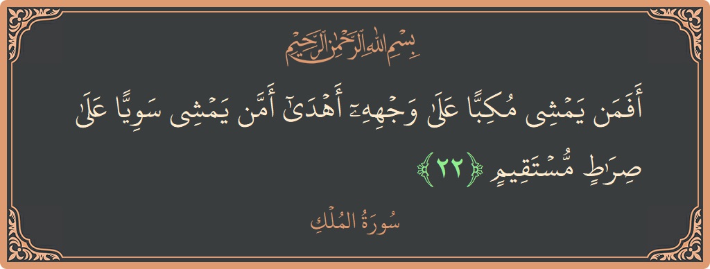 آیت 22 - سورۃ الملک: (أفمن يمشي مكبا على وجهه أهدى أمن يمشي سويا على صراط مستقيم...) - اردو