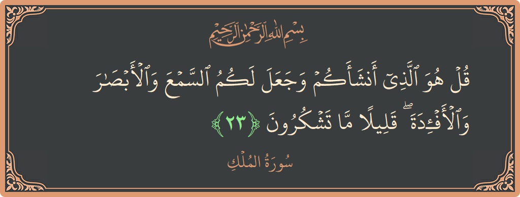 آیت 23 - سورۃ الملک: (قل هو الذي أنشأكم وجعل لكم السمع والأبصار والأفئدة ۖ قليلا ما تشكرون...) - اردو