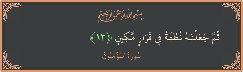 Verse 13 - Surah Al-Muminoon: (ثم جعلناه نطفة في قرار مكين...) - English