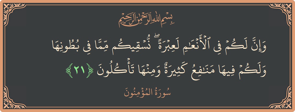 21 - Müminun Suresi ayeti: (وإن لكم في الأنعام لعبرة ۖ نسقيكم مما في بطونها ولكم فيها منافع كثيرة ومنها تأكلون...) - Türkçe