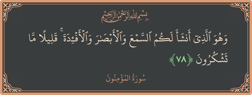 الآية 78 - سورة المؤمنون: (وهو الذي أنشأ لكم السمع والأبصار والأفئدة ۚ قليلا ما تشكرون...)