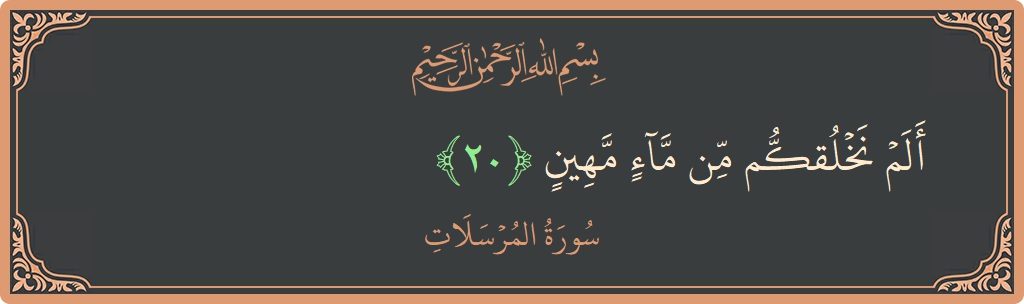 Verse 20 - Surah Al-Mursalaat: (ألم نخلقكم من ماء مهين...) - English
