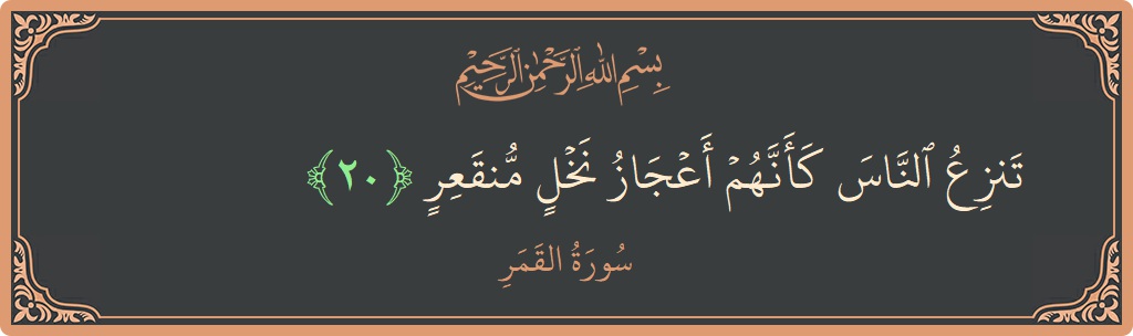 الآية 20 - سورة القمر: (تنزع الناس كأنهم أعجاز نخل منقعر...)