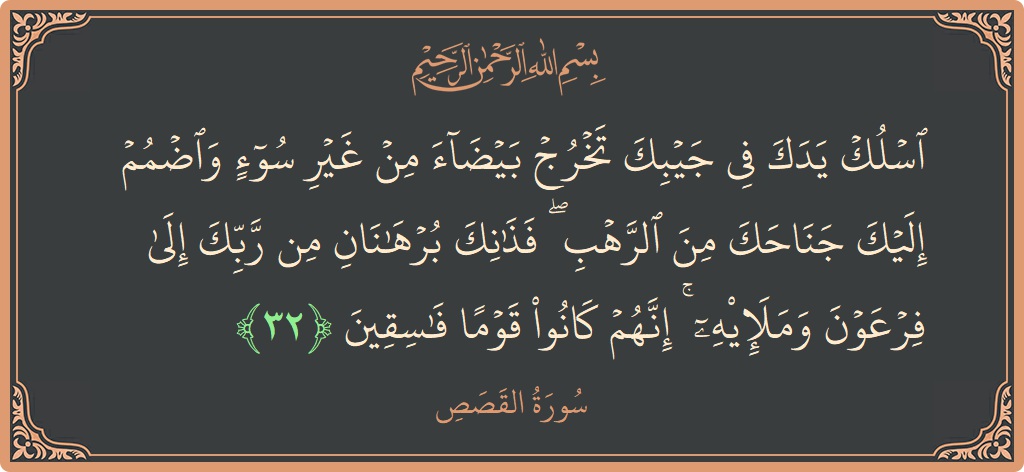 الآية 32 - سورة القصص: (اسلك يدك في جيبك تخرج بيضاء من غير سوء واضمم إليك جناحك من الرهب ۖ فذانك برهانان من ربك إلى...)