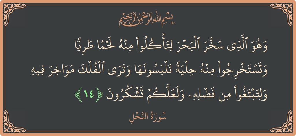 Ayat 14 - Surat An Nahli: (وهو الذي سخر البحر لتأكلوا منه لحما طريا وتستخرجوا منه حلية تلبسونها وترى الفلك مواخر فيه ولتبتغوا من فضله ولعلكم...) - Indonesia