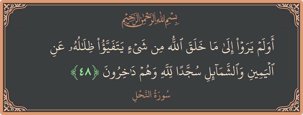 الآية 48 - سورة النحل: (أولم يروا إلى ما خلق الله من شيء يتفيأ ظلاله عن اليمين والشمائل سجدا لله وهم داخرون...)