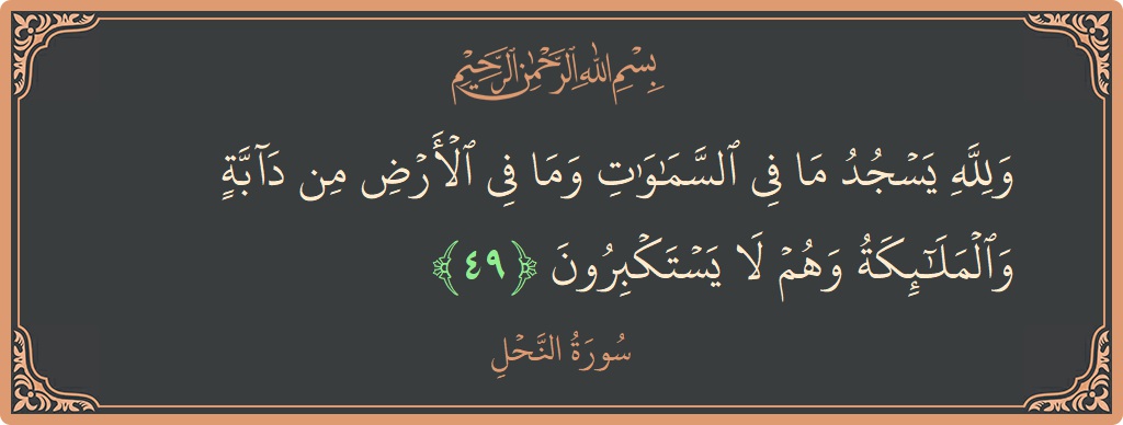 الآية 49 - سورة النحل: (ولله يسجد ما في السماوات وما في الأرض من دابة والملائكة وهم لا يستكبرون...)