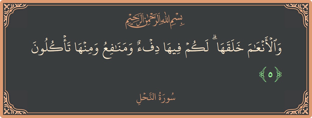 Verse 5 - Surah An-Nahl: (والأنعام خلقها ۗ لكم فيها دفء ومنافع ومنها تأكلون...) - English