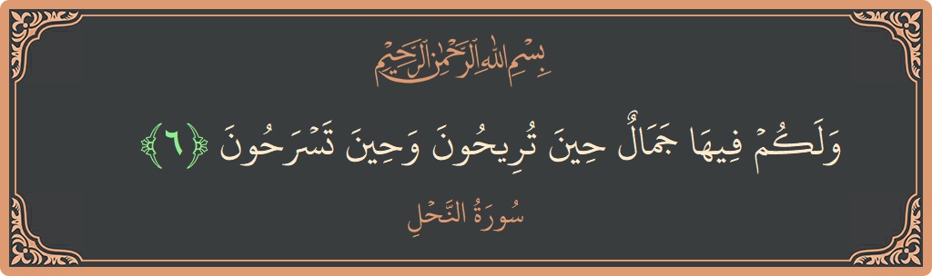 Verse 6 - Surah An-Nahl: (ولكم فيها جمال حين تريحون وحين تسرحون...) - English