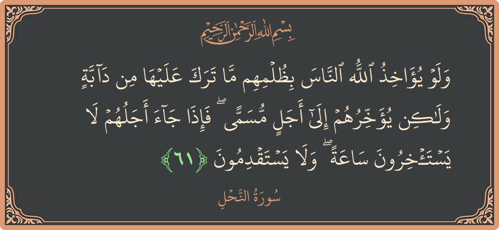 الآية 61 - سورة النحل: (ولو يؤاخذ الله الناس بظلمهم ما ترك عليها من دابة ولكن يؤخرهم إلى أجل مسمى ۖ فإذا جاء أجلهم لا...)