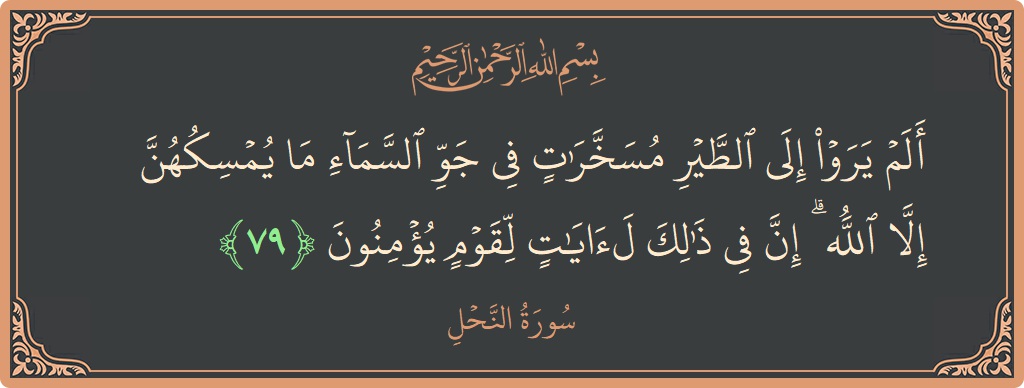 Ayat 79 - Surat An Nahli: (ألم يروا إلى الطير مسخرات في جو السماء ما يمسكهن إلا الله ۗ إن في ذلك لآيات لقوم يؤمنون...) - Indonesia