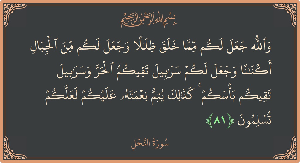 Verse 81 - Surah An-Nahl: (والله جعل لكم مما خلق ظلالا وجعل لكم من الجبال أكنانا وجعل لكم سرابيل تقيكم الحر وسرابيل تقيكم بأسكم ۚ...) - English