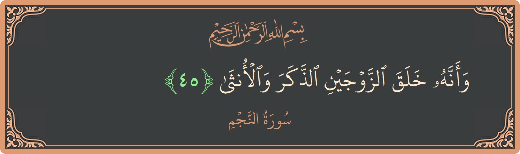 آیت 45 - سورہ نجم: (وأنه خلق الزوجين الذكر والأنثى...) - اردو