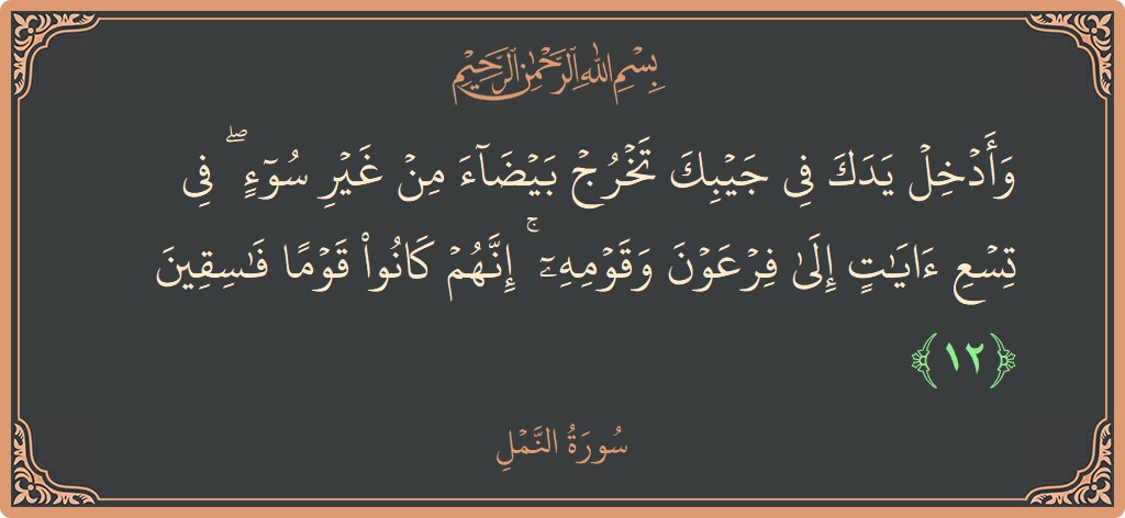 Verse 12 - Surah An-Naml: (وأدخل يدك في جيبك تخرج بيضاء من غير سوء ۖ في تسع آيات إلى فرعون وقومه ۚ إنهم كانوا قوما...) - English