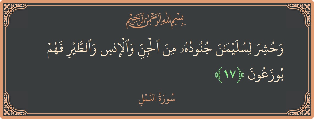 17 - Neml Suresi ayeti: (وحشر لسليمان جنوده من الجن والإنس والطير فهم يوزعون...) - Türkçe