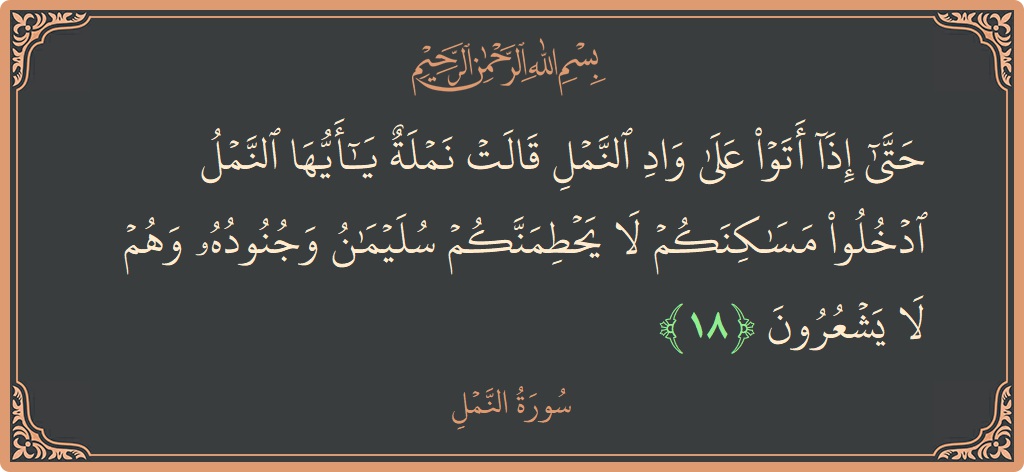 18 - Neml Suresi ayeti: (حتى إذا أتوا على واد النمل قالت نملة يا أيها النمل ادخلوا مساكنكم لا يحطمنكم سليمان وجنوده وهم لا يشعرون...) - Türkçe