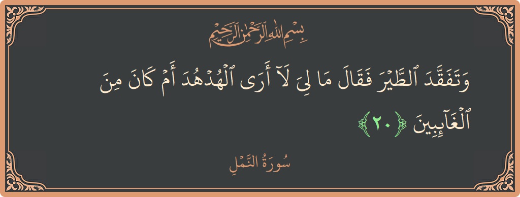 Verse 20 - Surah An-Naml: (وتفقد الطير فقال ما لي لا أرى الهدهد أم كان من الغائبين...) - English