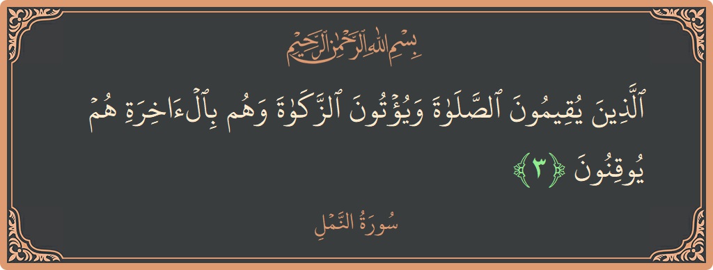 Verse 3 - Surah An-Naml: (الذين يقيمون الصلاة ويؤتون الزكاة وهم بالآخرة هم يوقنون...) - English