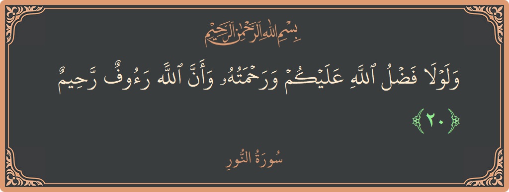 الآية 20 - سورة النور: (ولولا فضل الله عليكم ورحمته وأن الله رءوف رحيم...)