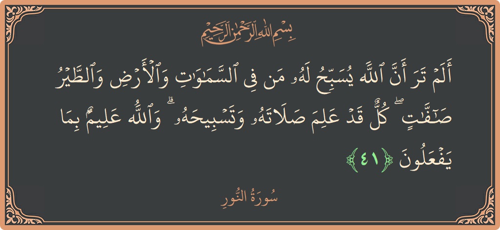 41 - Nur Suresi ayeti: (ألم تر أن الله يسبح له من في السماوات والأرض والطير صافات ۖ كل قد علم صلاته وتسبيحه ۗ والله...) - Türkçe