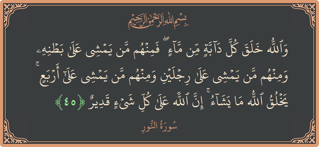 45 - Nur Suresi ayeti: (والله خلق كل دابة من ماء ۖ فمنهم من يمشي على بطنه ومنهم من يمشي على رجلين ومنهم من يمشي...) - Türkçe