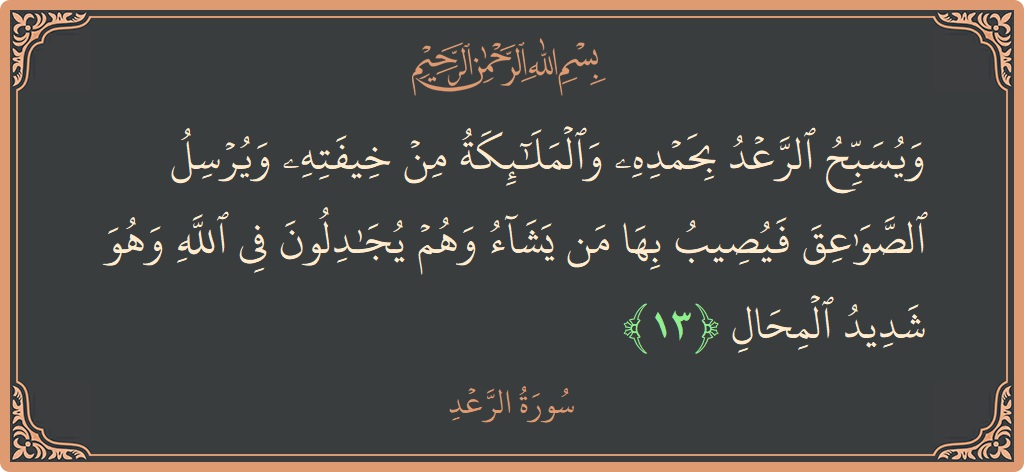 الآية 13 - سورة الرعد: (ويسبح الرعد بحمده والملائكة من خيفته ويرسل الصواعق فيصيب بها من يشاء وهم يجادلون في الله وهو شديد المحال...)