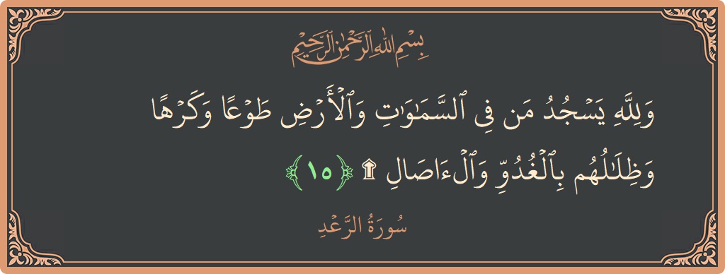 Ayat 15 - Surah Ar-Ra'd: (ولله يسجد من في السماوات والأرض طوعا وكرها وظلالهم بالغدو والآصال ۩...) - Indonesia