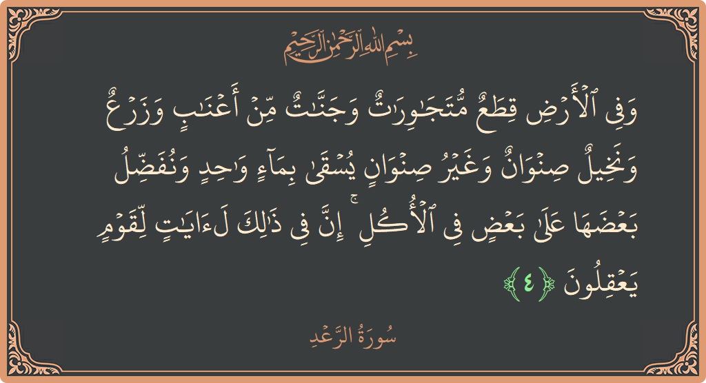 Verse 4 - Surah Ar-Ra'd: (وفي الأرض قطع متجاورات وجنات من أعناب وزرع ونخيل صنوان وغير صنوان يسقى بماء واحد ونفضل بعضها على بعض في...)