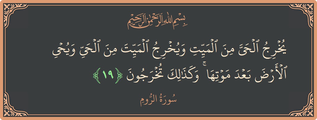 الآية 19 - سورة الروم: (يخرج الحي من الميت ويخرج الميت من الحي ويحيي الأرض بعد موتها ۚ وكذلك تخرجون...)