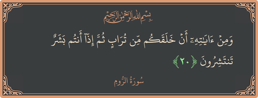 الآية 20 - سورة الروم: (ومن آياته أن خلقكم من تراب ثم إذا أنتم بشر تنتشرون...)