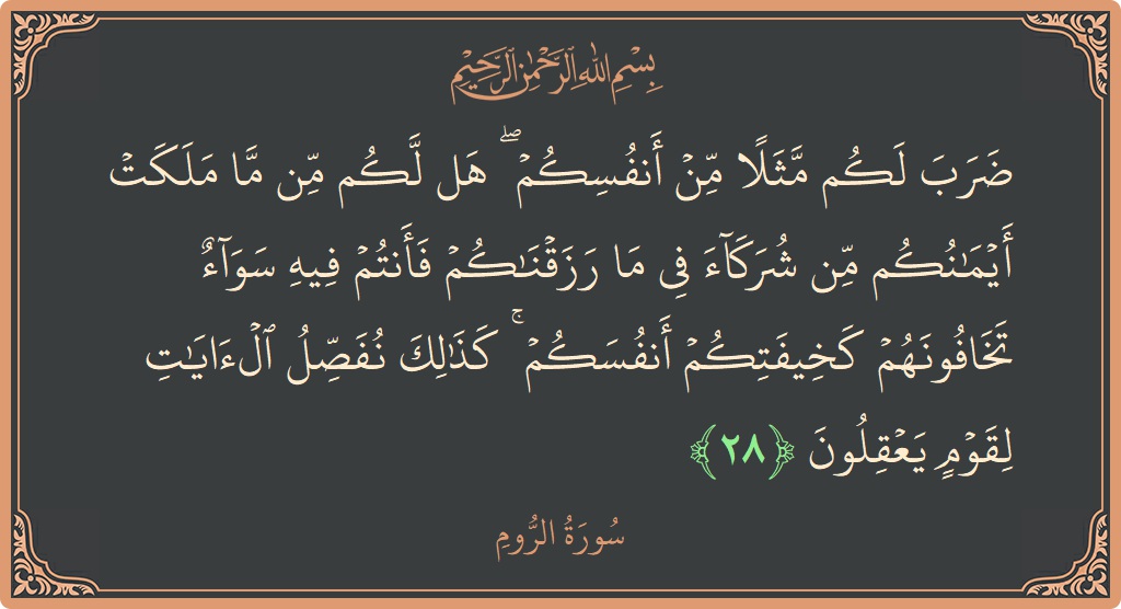 الآية 28 - سورة الروم: (ضرب لكم مثلا من أنفسكم ۖ هل لكم من ما ملكت أيمانكم من شركاء في ما رزقناكم فأنتم فيه سواء...)