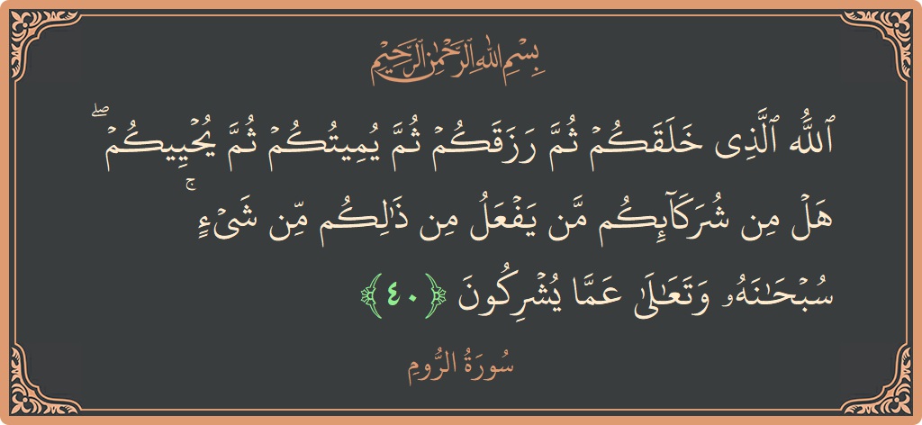 الآية 40 - سورة الروم: (الله الذي خلقكم ثم رزقكم ثم يميتكم ثم يحييكم ۖ هل من شركائكم من يفعل من ذلكم من شيء ۚ...)