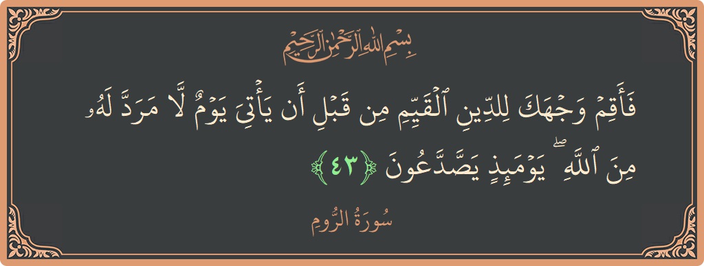 43 - Suresi Ar-Oda ayeti: (فأقم وجهك للدين القيم من قبل أن يأتي يوم لا مرد له من الله ۖ يومئذ يصدعون...) - Türkçe