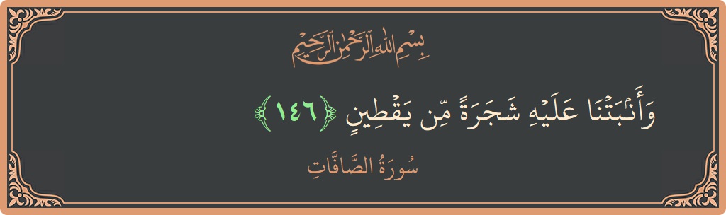 Ayat 146 - Surah As-Saaffaat: (وأنبتنا عليه شجرة من يقطين...) - Indonesia