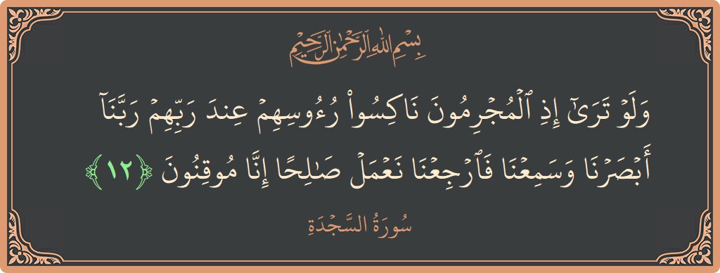 Verse 12 - Surah As-Sajda: (ولو ترى إذ المجرمون ناكسو رءوسهم عند ربهم ربنا أبصرنا وسمعنا فارجعنا نعمل صالحا إنا موقنون...) - English