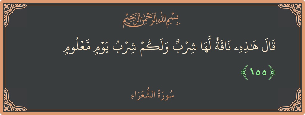 155 - Şuara Suresi ayeti: (قال هذه ناقة لها شرب ولكم شرب يوم معلوم...) - Türkçe