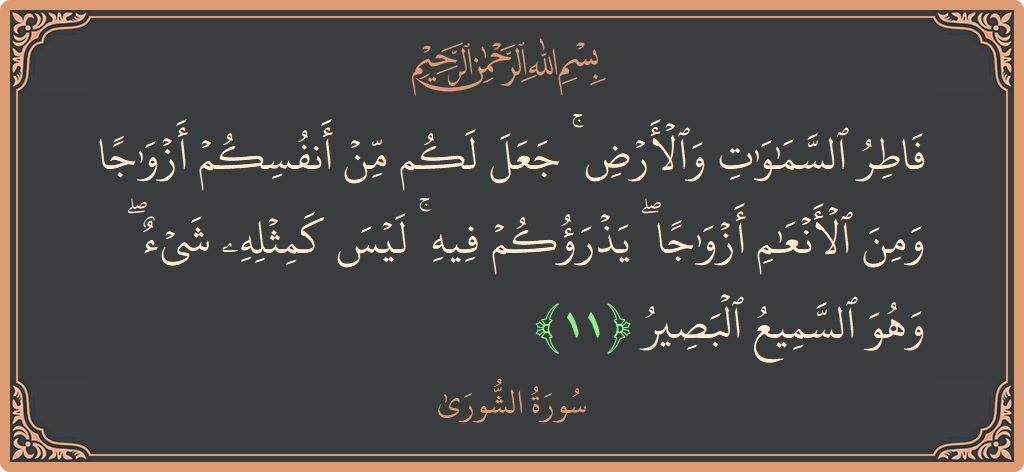 الآية 11 - سورة الشورى: (فاطر السماوات والأرض ۚ جعل لكم من أنفسكم أزواجا ومن الأنعام أزواجا ۖ يذرؤكم فيه ۚ ليس كمثله شيء ۖ...)