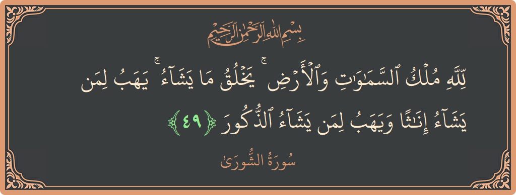 Verse 49 - Surah Ash-Shura: (لله ملك السماوات والأرض ۚ يخلق ما يشاء ۚ يهب لمن يشاء إناثا ويهب لمن يشاء الذكور...) - English