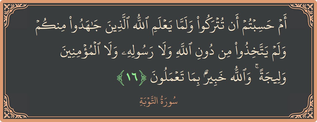 آیت 16 - سورہ توبہ: (أم حسبتم أن تتركوا ولما يعلم الله الذين جاهدوا منكم ولم يتخذوا من دون الله ولا رسوله ولا المؤمنين وليجة...) - اردو
