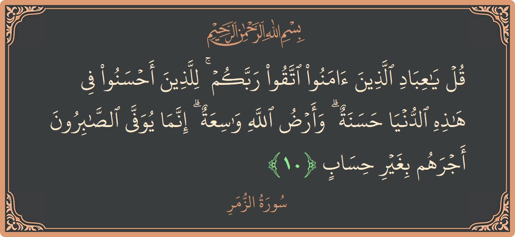 الآية 10 - سورة الزمر: (قل يا عباد الذين آمنوا اتقوا ربكم ۚ للذين أحسنوا في هذه الدنيا حسنة ۗ وأرض الله واسعة ۗ إنما...)