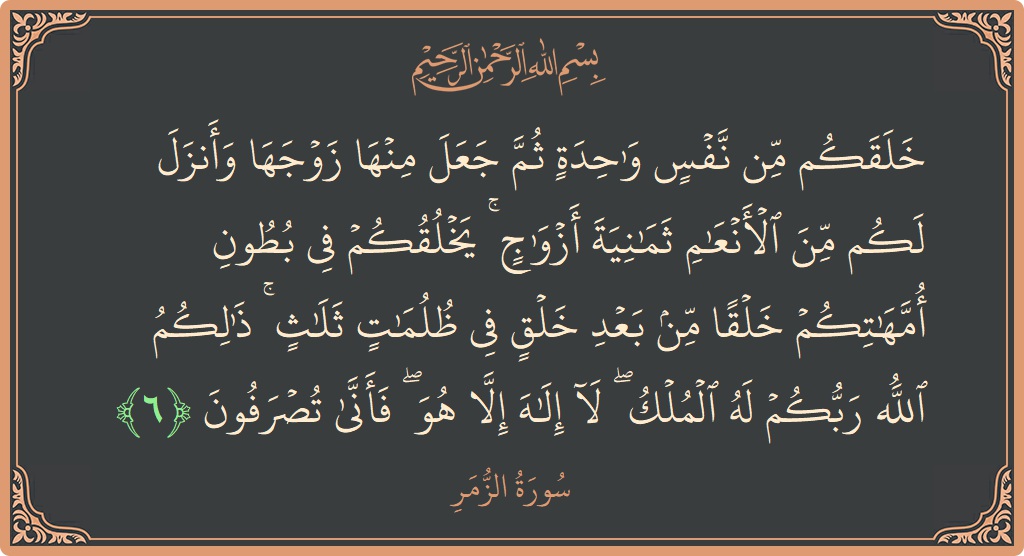 Ayat 6 - Surat Az-Zumar: (خلقكم من نفس واحدة ثم جعل منها زوجها وأنزل لكم من الأنعام ثمانية أزواج ۚ يخلقكم في بطون أمهاتكم خلقا...) - Indonesia
