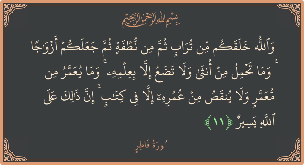 Verse 11 - Surah Faatir: (والله خلقكم من تراب ثم من نطفة ثم جعلكم أزواجا ۚ وما تحمل من أنثى ولا تضع إلا بعلمه ۚ...) - English