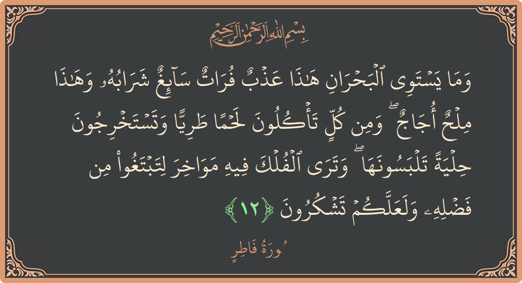 12 - Fatır Suresi ayeti: (وما يستوي البحران هذا عذب فرات سائغ شرابه وهذا ملح أجاج ۖ ومن كل تأكلون لحما طريا وتستخرجون حلية تلبسونها...) - Türkçe