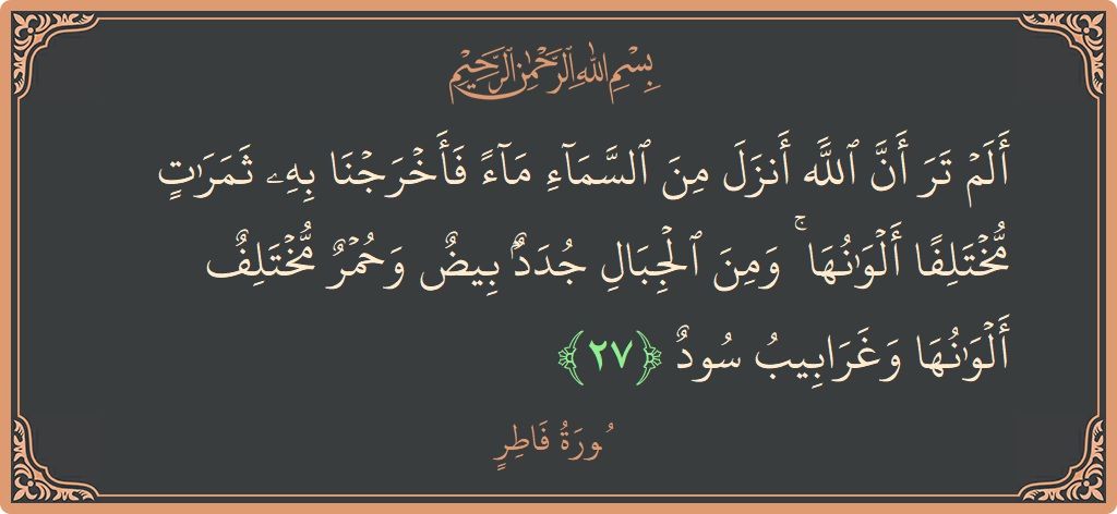آیت 27 - سورہ فاطر: (ألم تر أن الله أنزل من السماء ماء فأخرجنا به ثمرات مختلفا ألوانها ۚ ومن الجبال جدد بيض وحمر مختلف...) - اردو