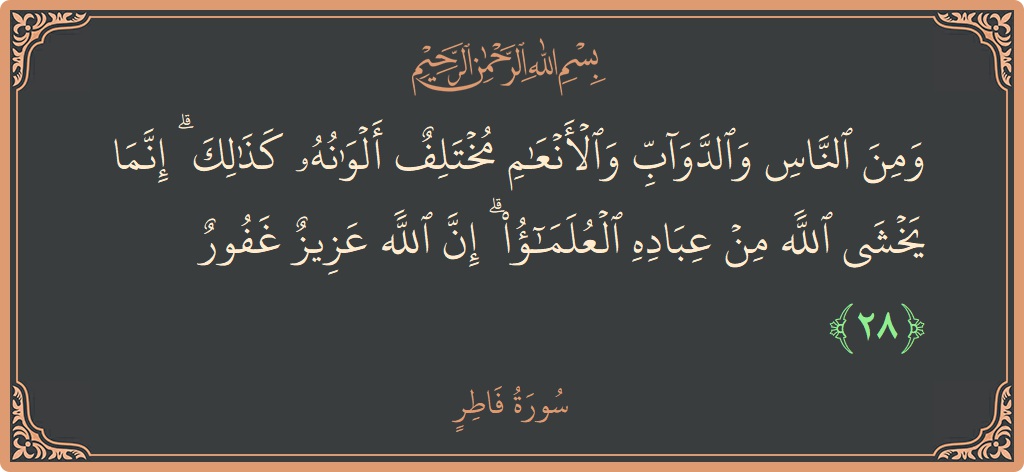 آیت 28 - سورہ فاطر: (ومن الناس والدواب والأنعام مختلف ألوانه كذلك ۗ إنما يخشى الله من عباده العلماء ۗ إن الله عزيز غفور...) - اردو