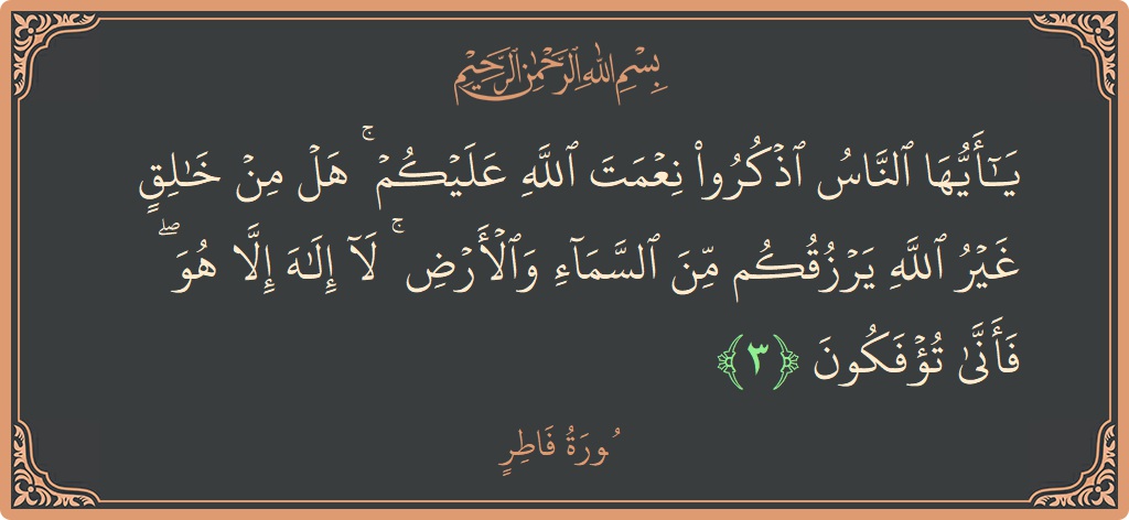 الآية 3 - سورة فاطر: (يا أيها الناس اذكروا نعمت الله عليكم ۚ هل من خالق غير الله يرزقكم من السماء والأرض ۚ لا إله...)