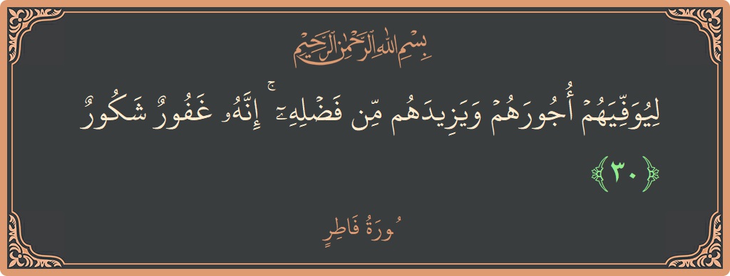 آیت 30 - سورہ فاطر: (ليوفيهم أجورهم ويزيدهم من فضله ۚ إنه غفور شكور...) - اردو